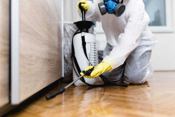 Best Bed Bug Extermination  in Mahtomedi, MN