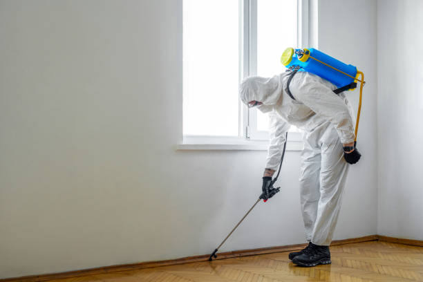Best Emergency Pest Control  in Mahtomedi, MN