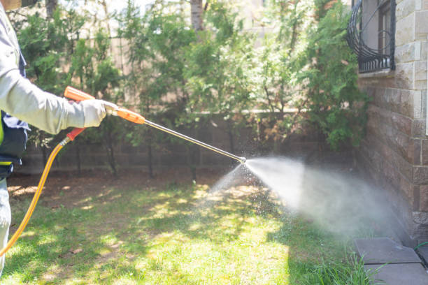 Best Affordable Pest Control Services  in Mahtomedi, MN