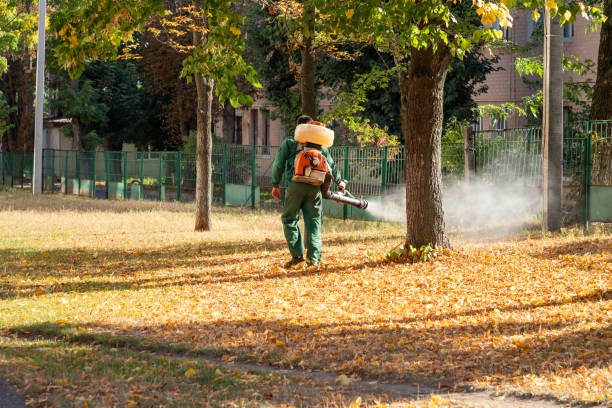 Best Mosquito Control Services  in Mahtomedi, MN
