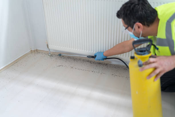 Trusted Mahtomedi, MN Pest Control Experts